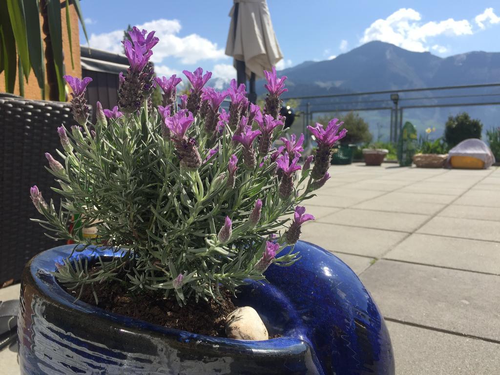 Apartmán Penthouse Sonnberg